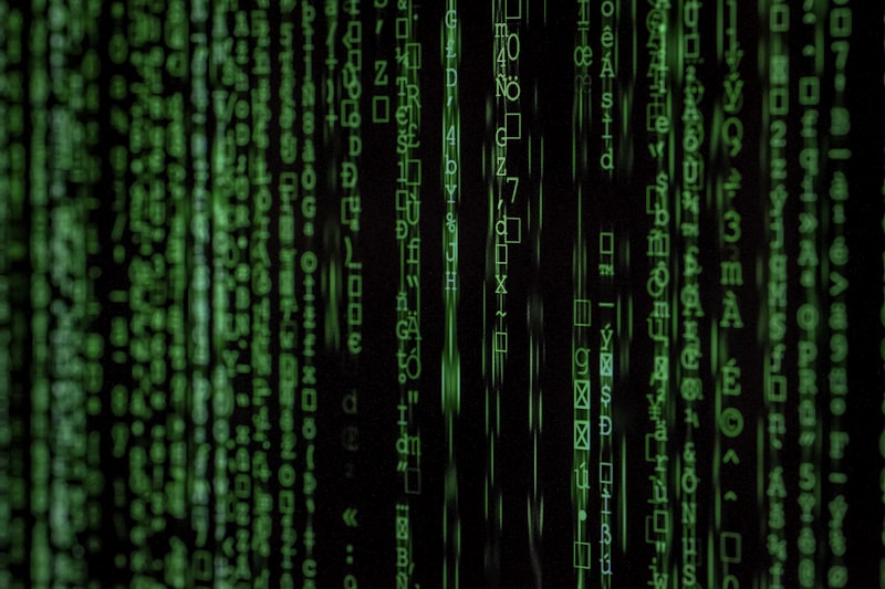 SoftSolex Architecture - Resource-Efficient Multimodal Deep Learning